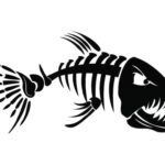 Fish Tails Bait Tackle